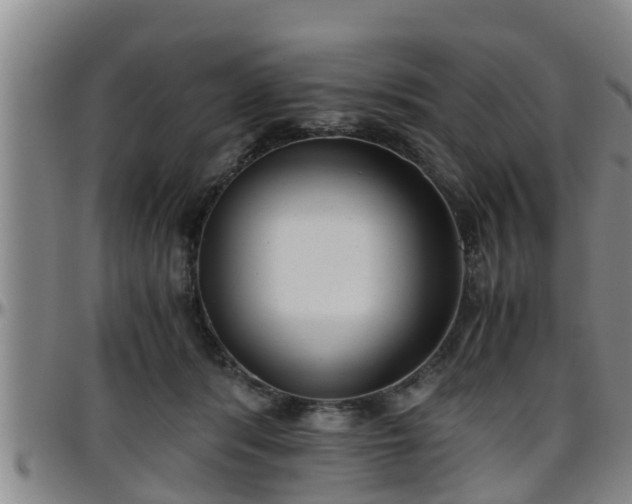 X0000096400416200801311355