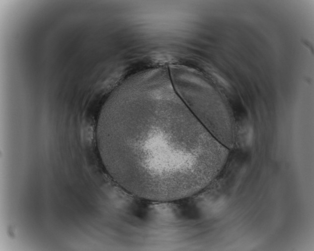 X0000096400417200801311355