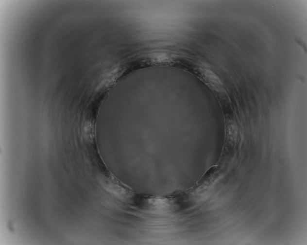 X0000096400419200801311355