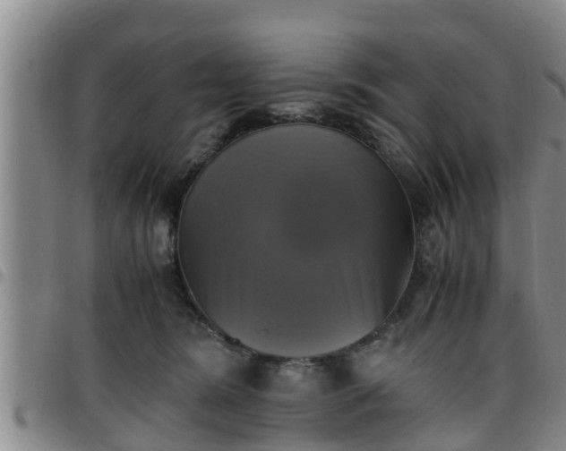 X0000096400420200801311355