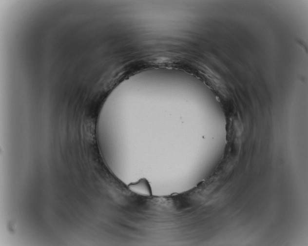 X0000096400421200801311355