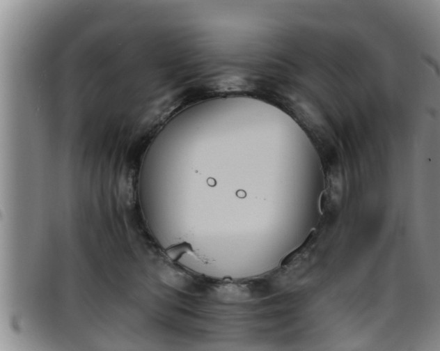 X0000096400422200801311355