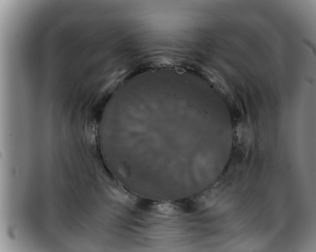 X0000096400423200801311355