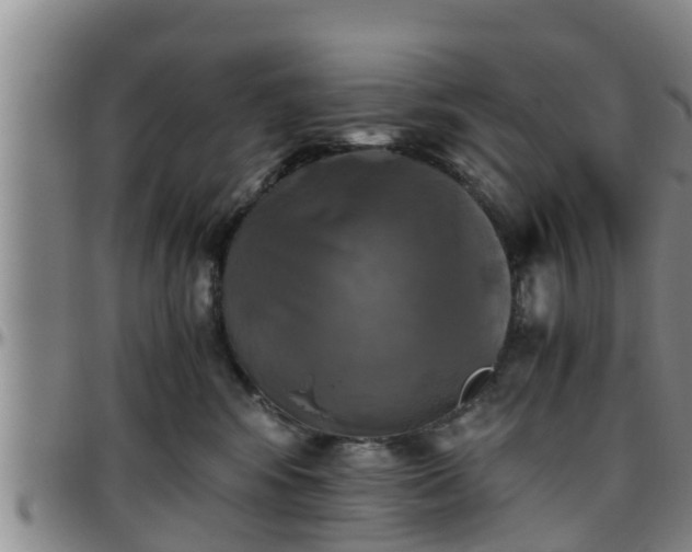 X0000096400424200801311355