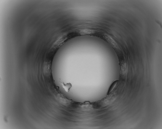 X0000096400426200801311355