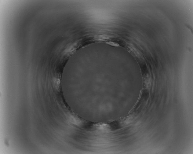 X0000096400427200801311355