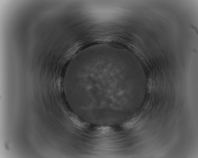 X0000096400428200801311355