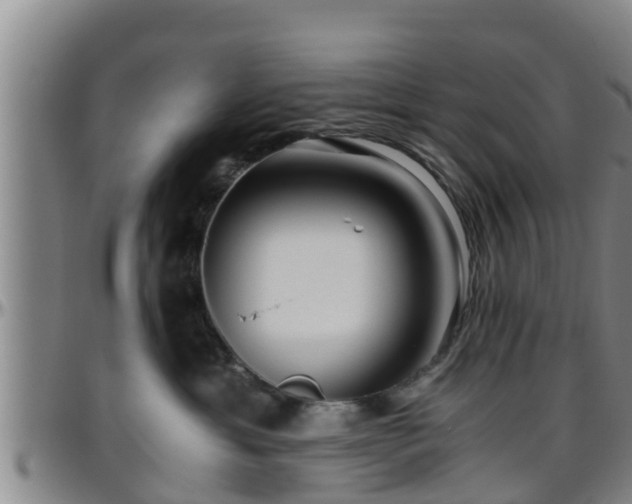 X0000096400429200801311355