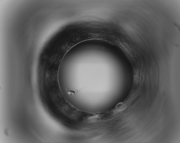 X0000096400430200801311355