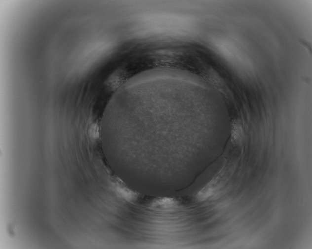 X0000096400431200801311355