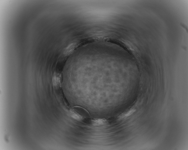 X0000096400432200801311355