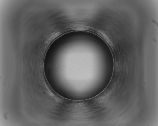 X0000096400433200801311354