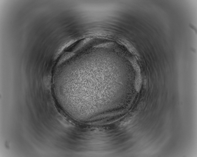 X0000096400434200801311354