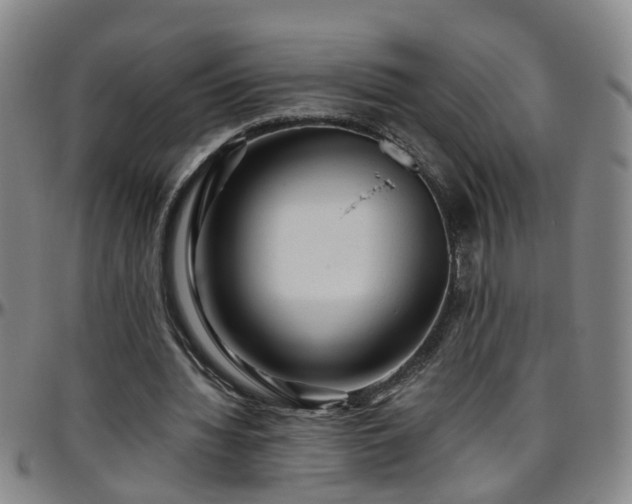 X0000096400436200801311354