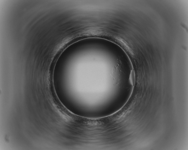 X0000096400439200801311354