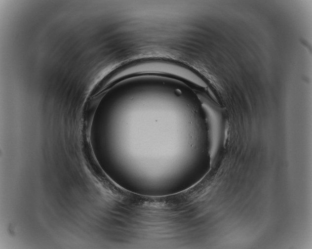 X0000096400440200801311354