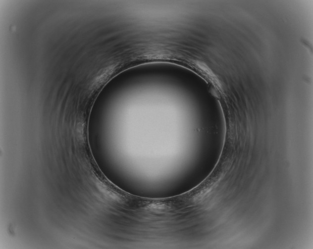 X0000096400441200801311354