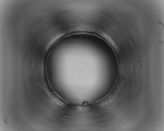 X0000096400442200801311354