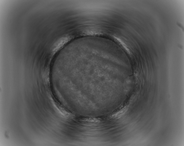 X0000096400443200801311354