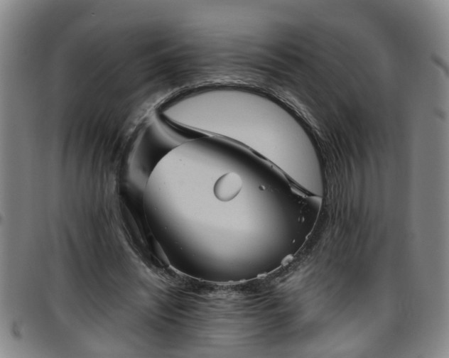 X0000096400444200801311354