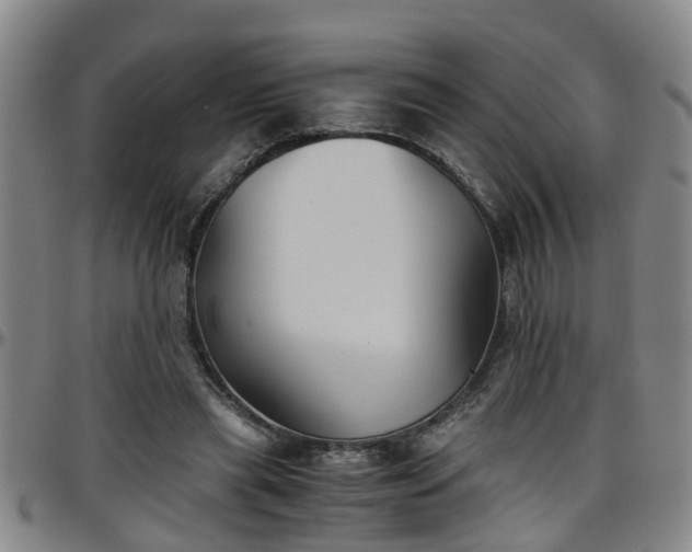 X0000096400445200801311354