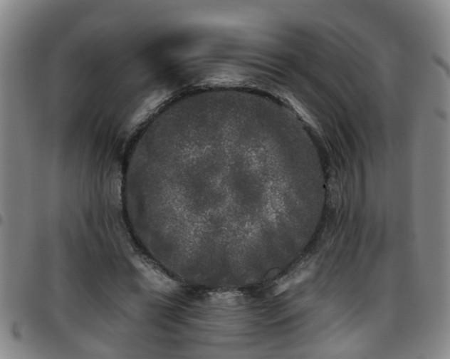 X0000096400446200801311354