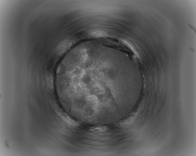 X0000096400447200801311354