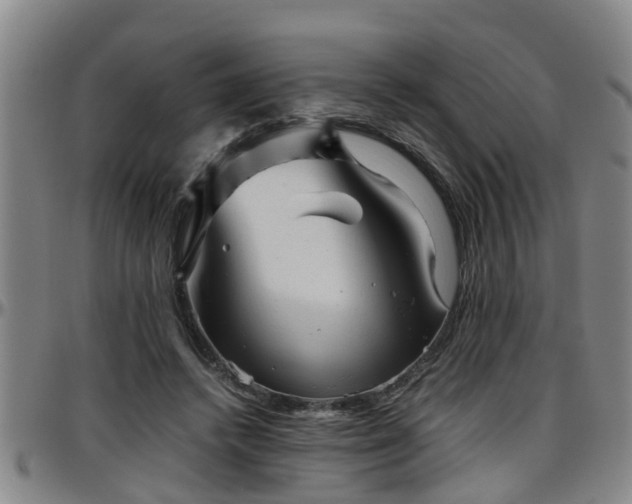 X0000096400448200801311354