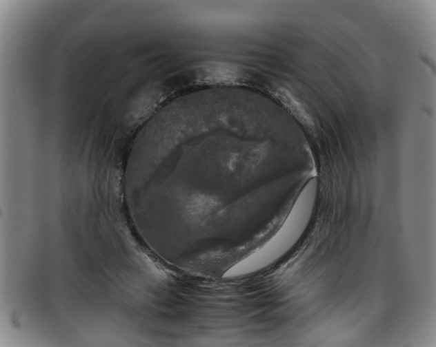 X0000096400449200801311354