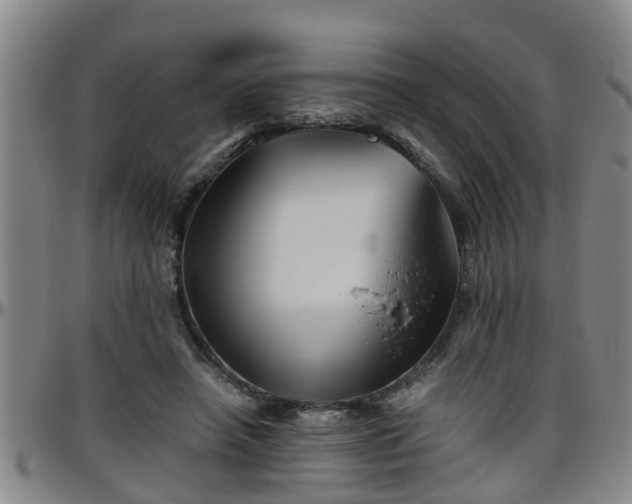 X0000096400450200801311354