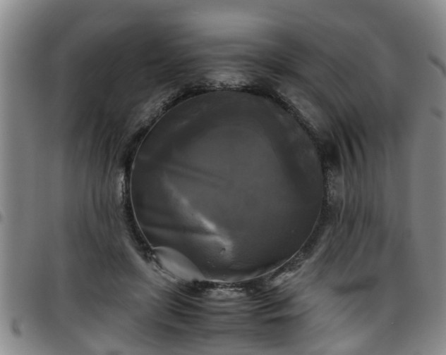 X0000096400451200801311354