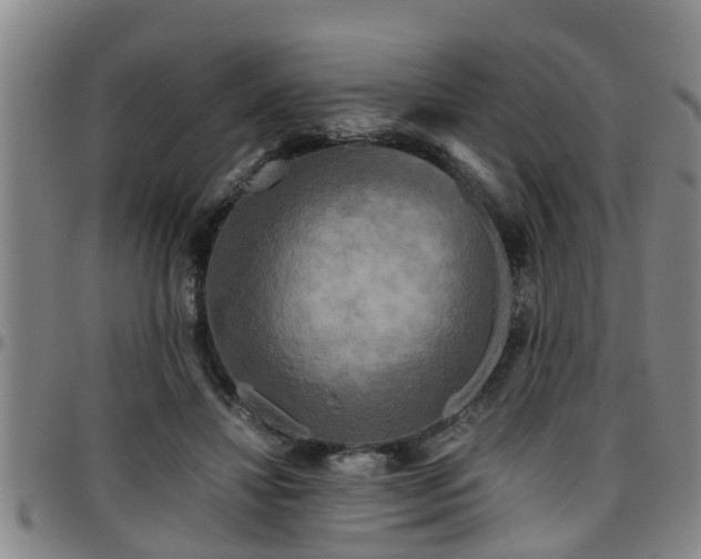 X0000096400452200801311354