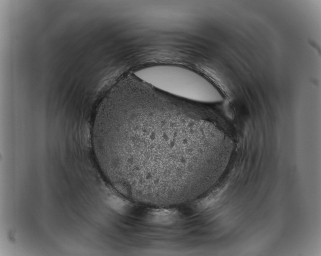 X0000096400453200801311354