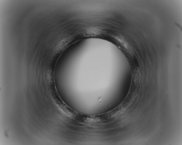 X0000096400455200801311355