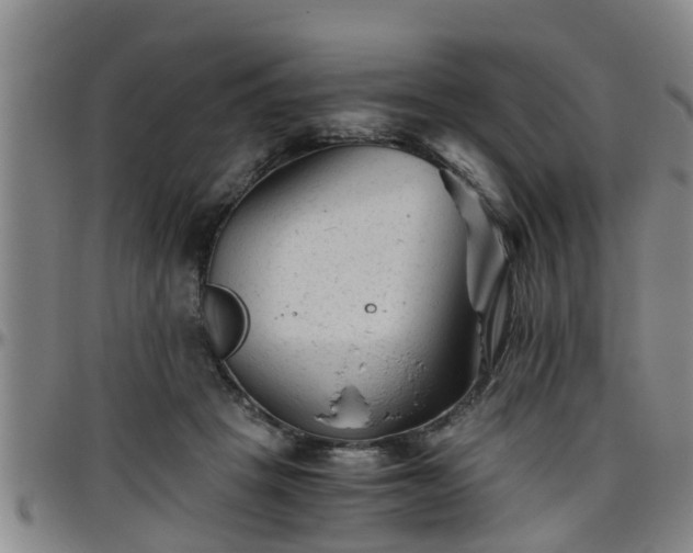 X0000096400457200801311355