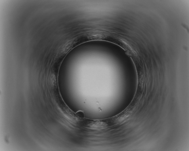 X0000096400459200801311355