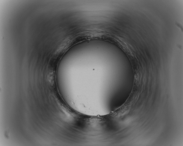 X0000096400462200801311355