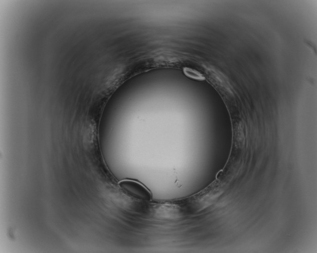 X0000096400463200801311355