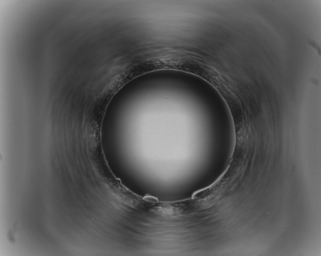 X0000096400464200801311355