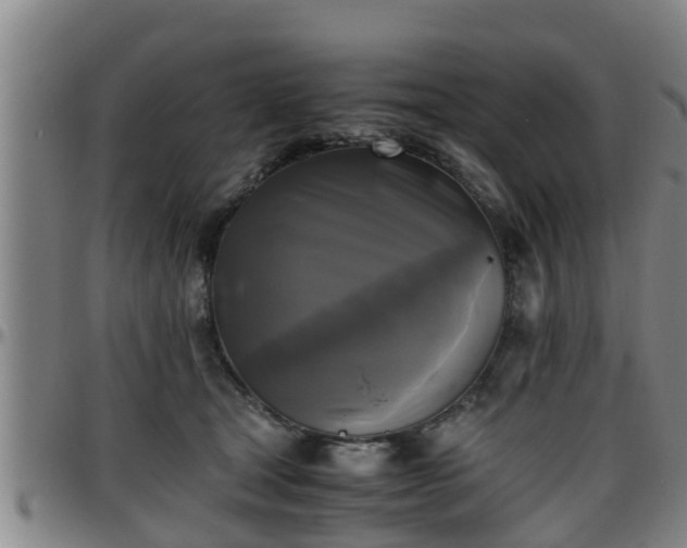 X0000096400465200801311355