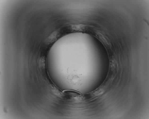 X0000096400466200801311355