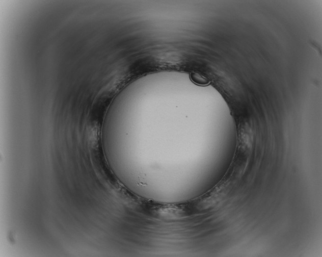 X0000096400468200801311355