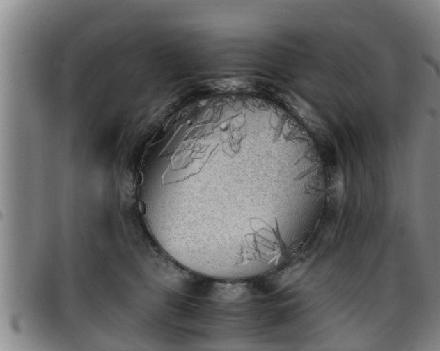 X0000096400469200801311355