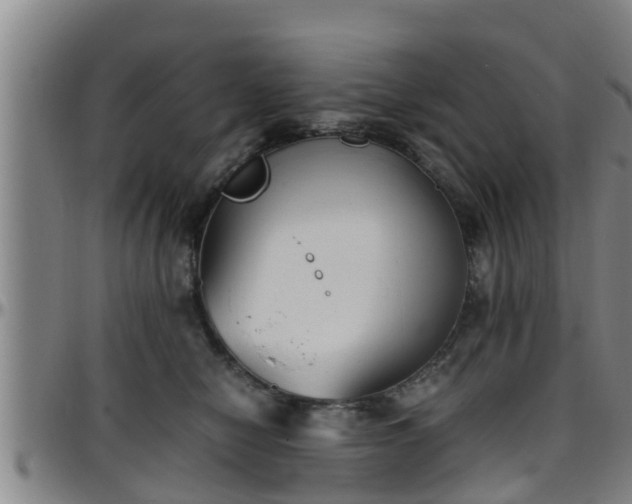 X0000096400470200801311355