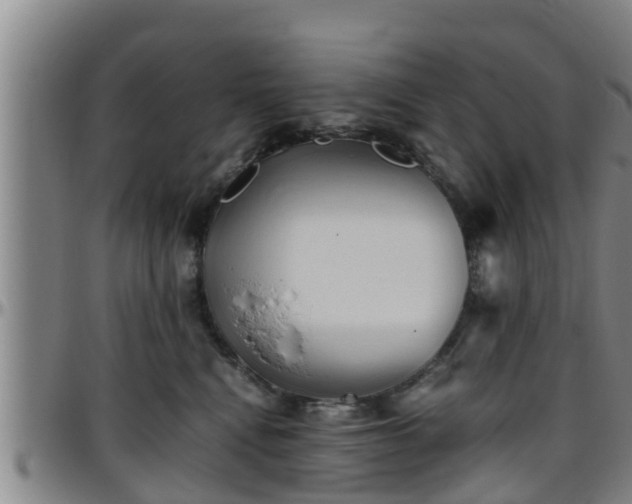 X0000096400472200801311355