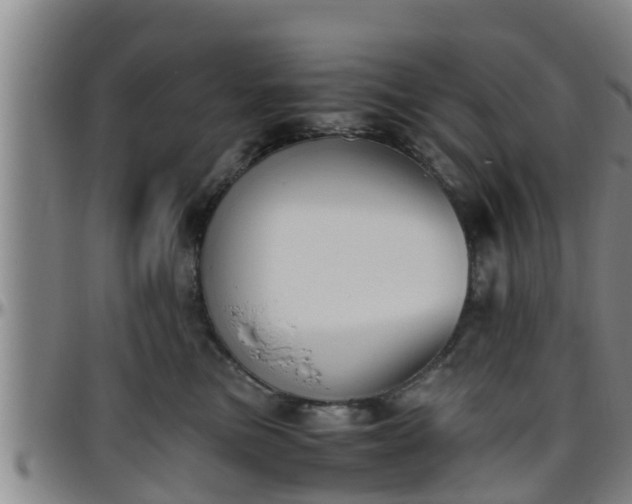 X0000096400473200801311355