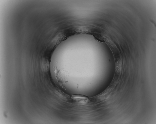 X0000096400474200801311355