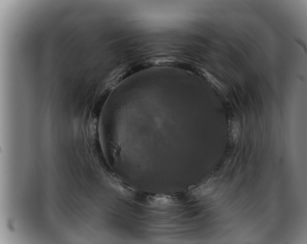 X0000096400475200801311355