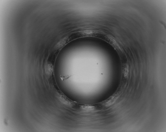 X0000096400476200801311355