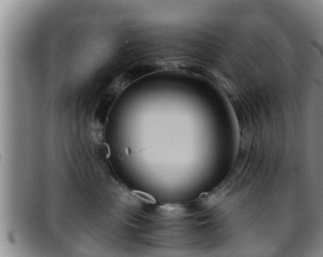 X0000096400477200801311355